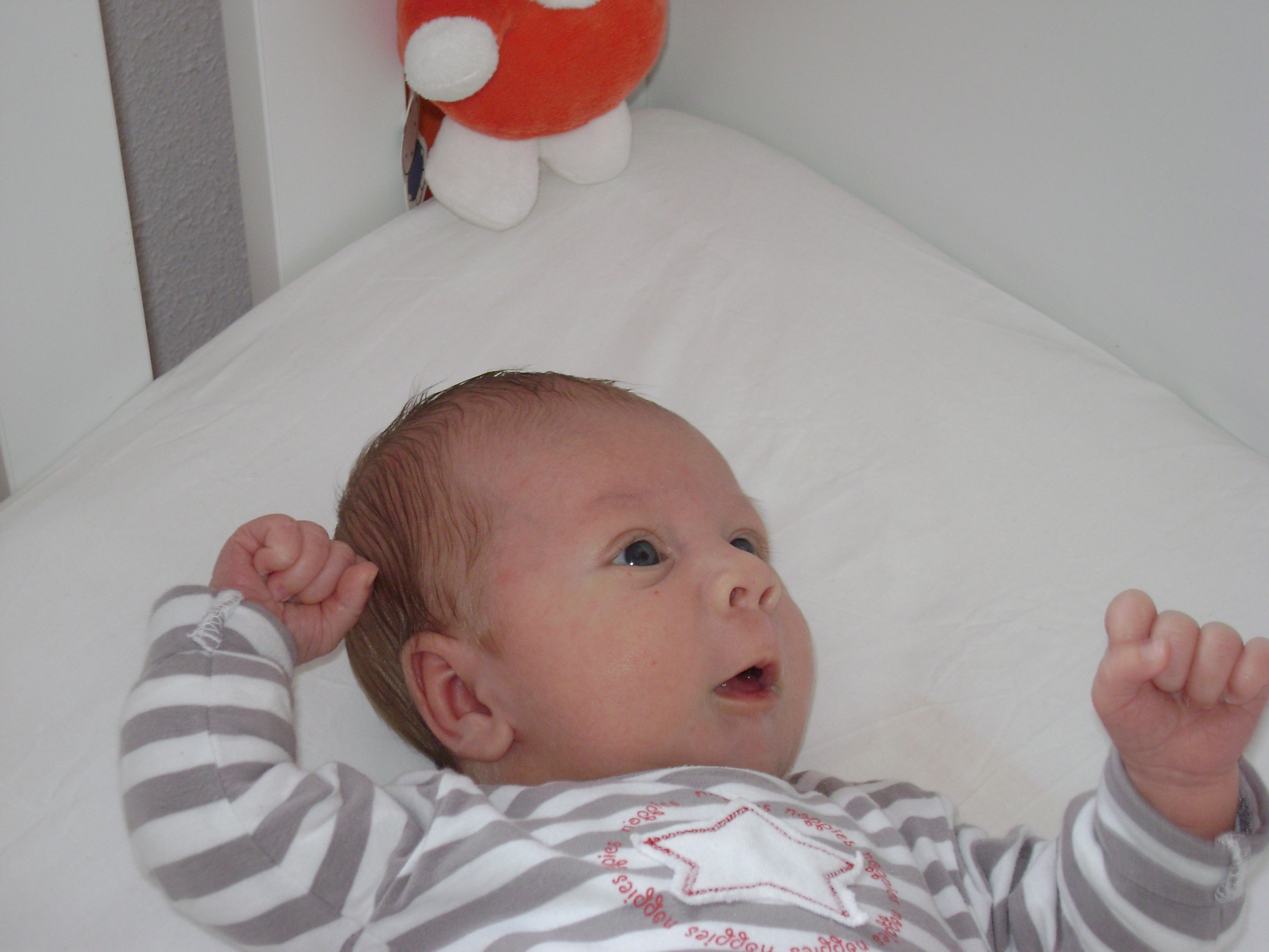Laurens-Jan